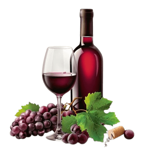 Bottle and glass of red wine with grapes
