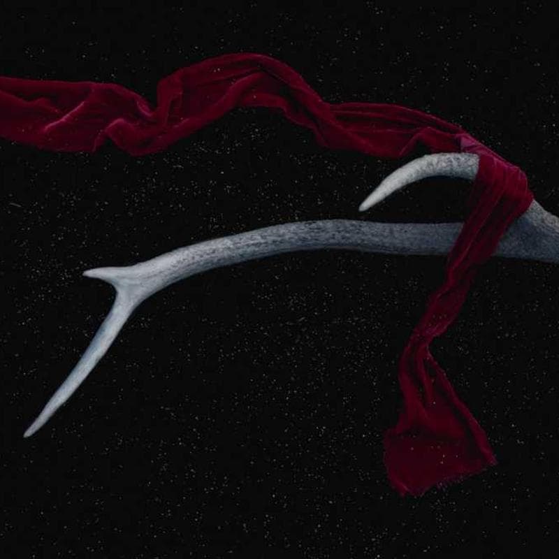 Incredible Bacon designed with Marble for naughty performance