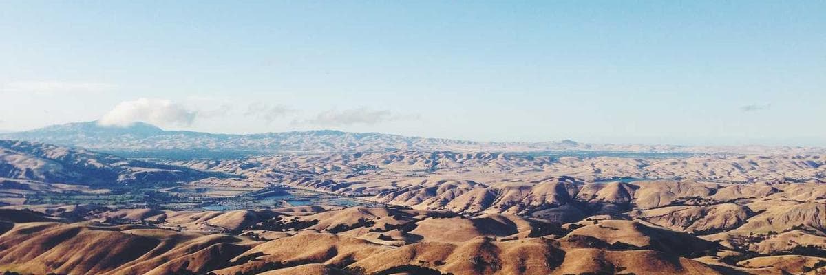 Raw ground beef patty with tomatoes and peppercorns on dark surface